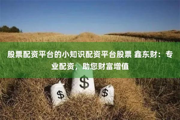 股票配资平台的小知识配资平台股票 鑫东财：专业配资，助您财富增值